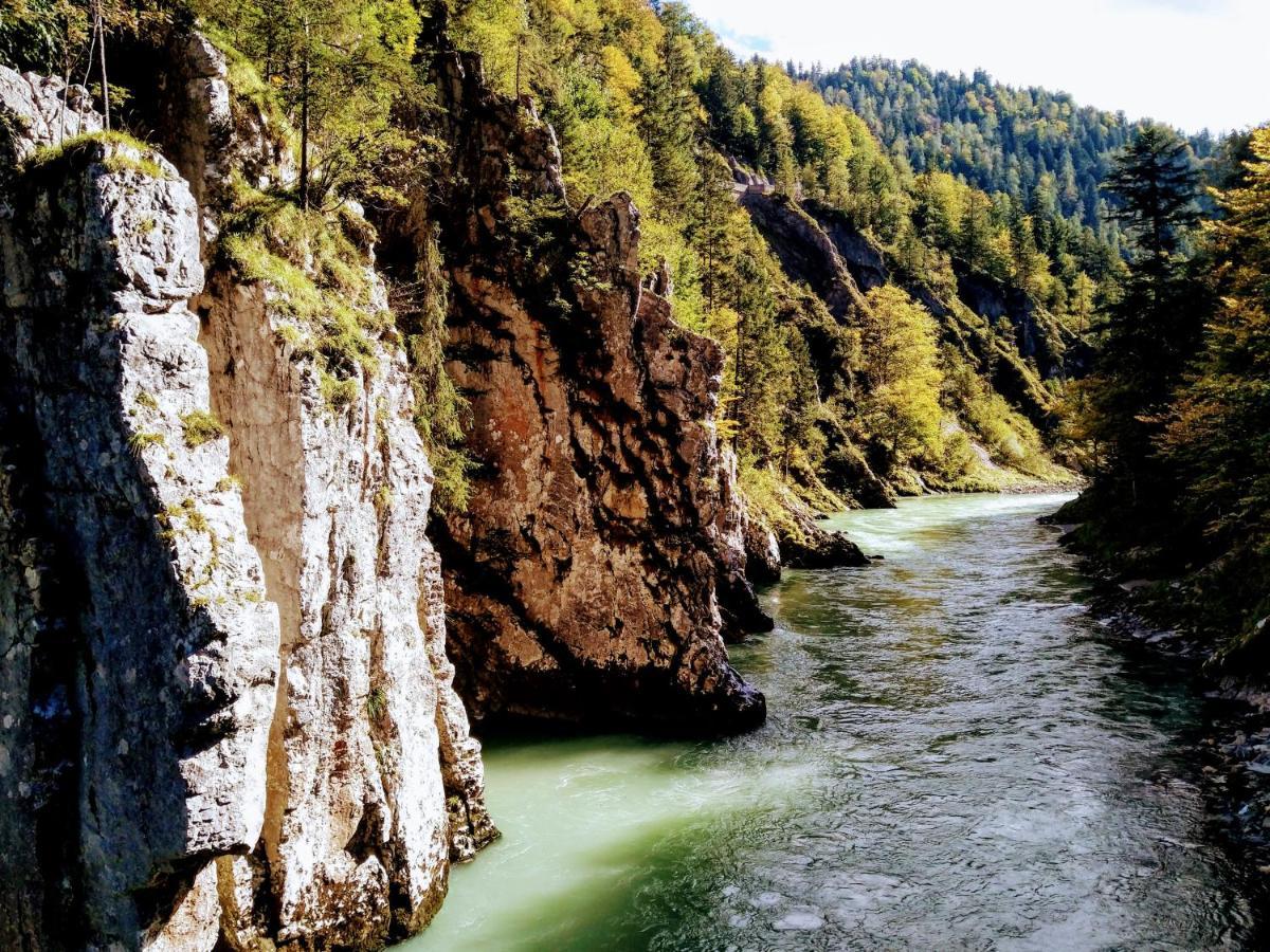 Kuenstlerhaus Weissgerberguetl Daire Marquartstein Dış mekan fotoğraf